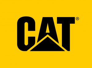 Logo CAT Chile
